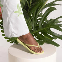 Havaianas Slim Verde Matcha - Bolsa Vegana - Loja Online
